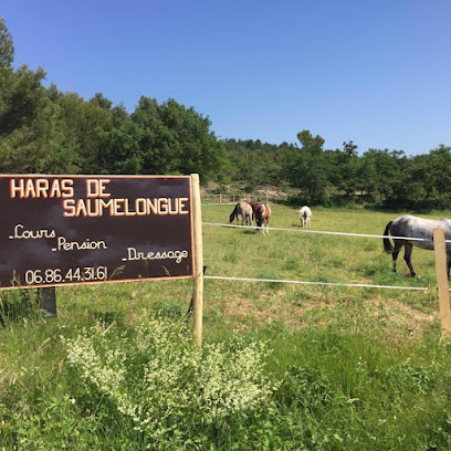 Haras De Saumelongue, Centre Équestre à Puy-Saint-Martin