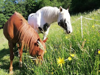 Les Yeux De Kalinka-Equithérapie, Centre Equestres aux Clefs