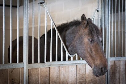 PARC INTERCOM D EQUITATION CHATEAU BLEU, Centre Equestres à Tremblay-en-France