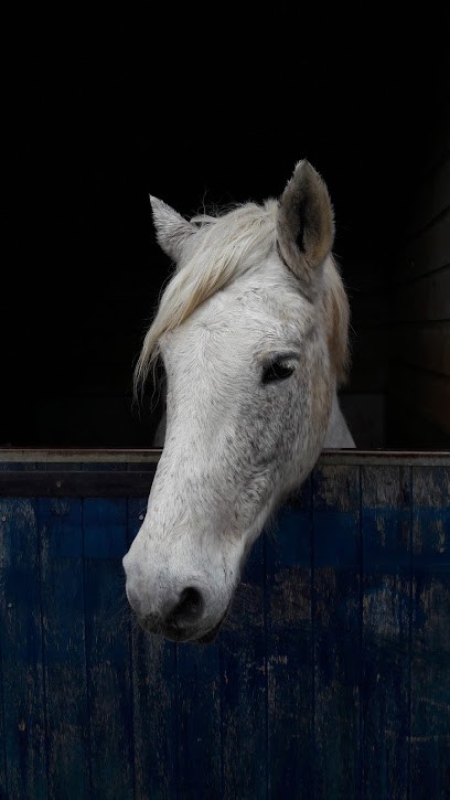 Equestrian Center Municipal D'orly, Centre Equestres à Orly