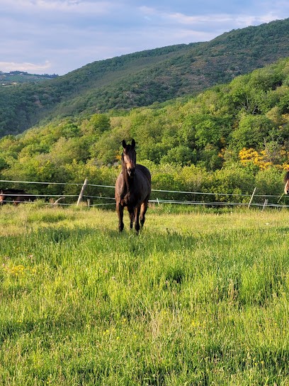 Prairies de Vort, Pension pour Chevaux à Orbeil