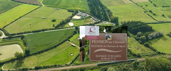 Elevage D'Ecames, Centre Equestres à Condette