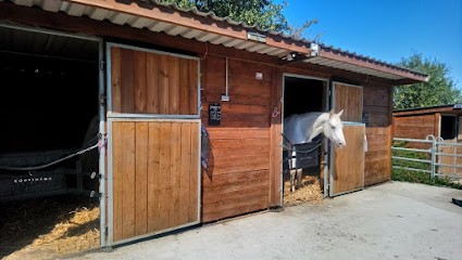 Écurie La Main Légère, Pension pour Chevaux à Voulmentin