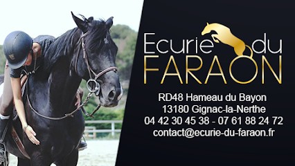 Écurie Du Faraon, Centre Equestres à Gignac-la-Nerthe