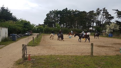 SCEA LES VIOLETTES, Centre Equestres à L'Île-d'Yeu