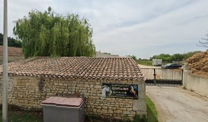 Livestock Des Dieux, Centre Equestres à Saint-Hippolyte