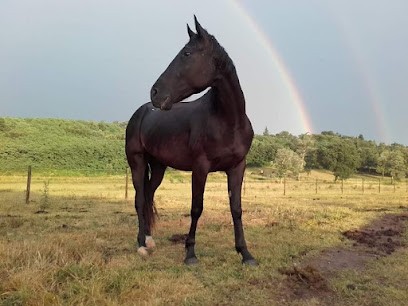 L'etrier Dromois, Centre Equestres à Livron-sur-Drôme