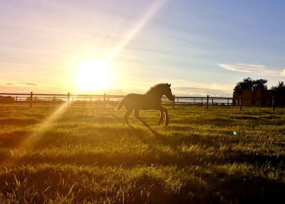 Haras de Roize, Pension pour Chevaux à Maisoncelles-en-Brie