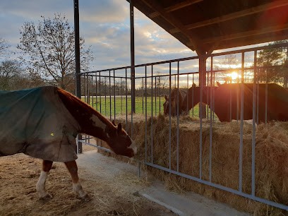 Domaine De La Noche, Pension pour Chevaux à Ygos-Saint-Saturnin