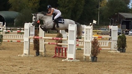 Olluyn Nathanael / Livestock Dpm, Centre Equestres à Compreignac