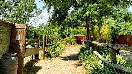 Stalls De Clarensac - & Adri K, Pension pour Chevaux à Clarensac