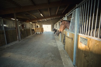Les écuries De La Thibaudière, Centre Equestres à Saint-Fulgent