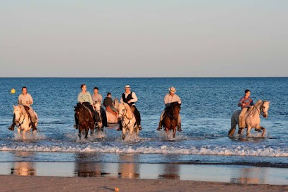 Ecurie de la Bâtisse, Pension pour Chevaux à Fleury