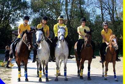 Poney Club D'alsace, Centre Equestres à Geispolsheim