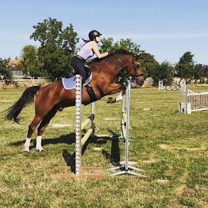 LES ECURIES DE GALLUIS, Pension pour Chevaux à Galluis