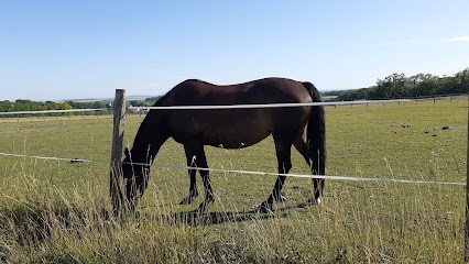 CRINIERES ROUGES, Pension pour Chevaux à Saint-Thierry