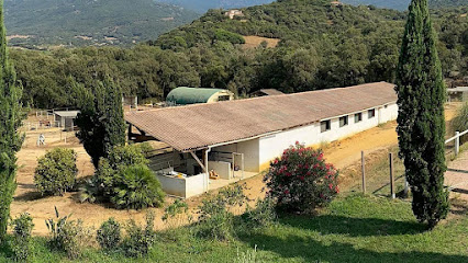 Les Écuries Des Vignes Centre Équestre à Cauro