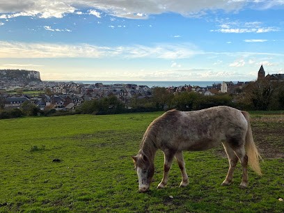 Équitation Mers-Les-Bains, Centre Equestres à Mers-les-Bains