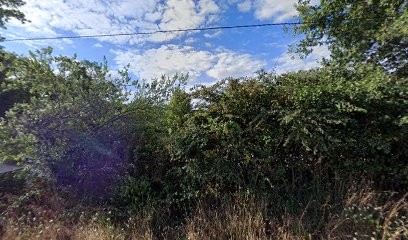 La Petite Écurie In La Prairie, Centre Equestres à Lauzach