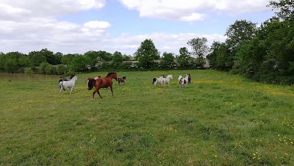 Ecurie des Juraires, Centre Equestres à La Chaize-le-Vicomte