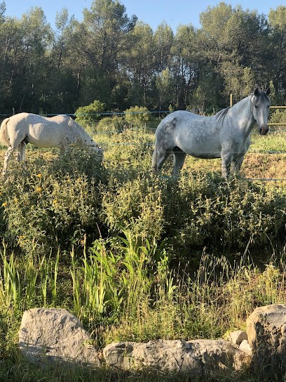 Le Manège De La Timide Vérité, Centre Equestres à Saint-Hilaire-de-Beauvoir