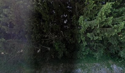 EQUIDOMIA, Pension pour Chevaux à Maillane