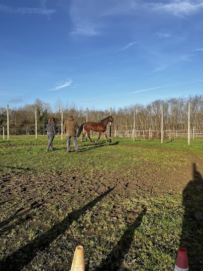 Haras des Sept, Centre Equestres à Combourg