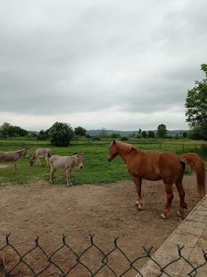 LA JUMENTERIE, Centre Equestres à Saint-Pierre-de-Chandieu