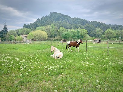 Les écuries De Sebo - Mon Ami Poney, Centre Equestres à Puyvert