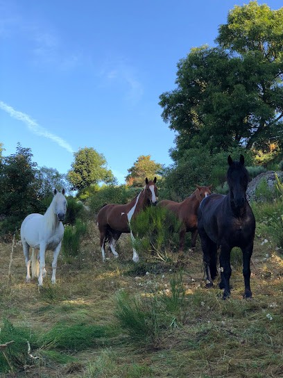 Les Ecuries De Palhères, Centre Equestres à Rocles