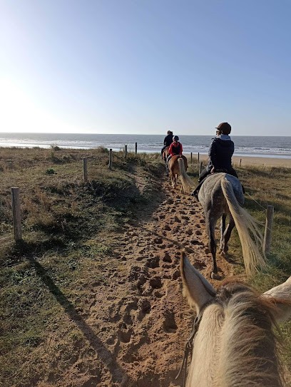Equestrian Center Océan-Pays De Monts, Centre Equestres à La Barre-de-Monts