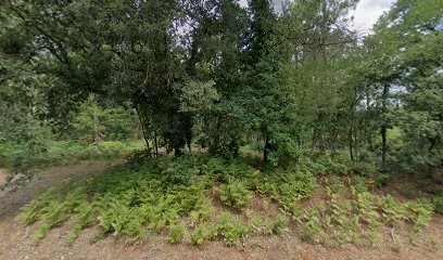 Le Ranch D Elvire, Centre Equestres à Trensacq