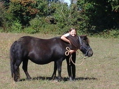 ECURIES DE LA GARE, Centre Equestres à Saint-Martin-d'Audouville
