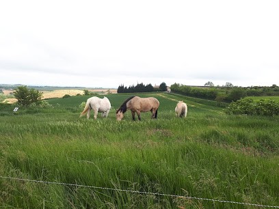 Chevaux au Vent, Centre Equestres à Fonters-du-Razès
