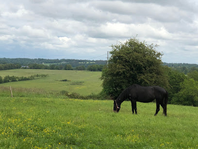 La Ferme De Pirata (Horse Resort & Refuge), Pension Pour Chevaux au Vigeant