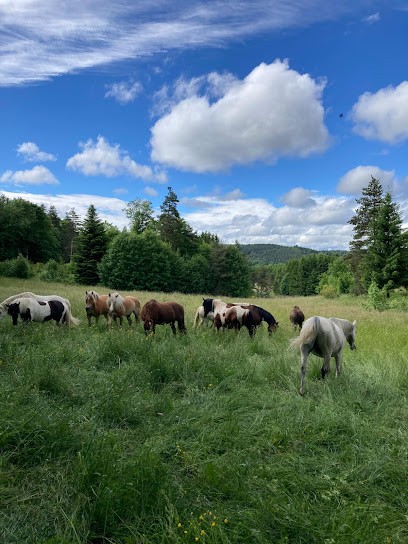 Teen Ranch Club, Centre Equestres au Chambon-sur-Lignon