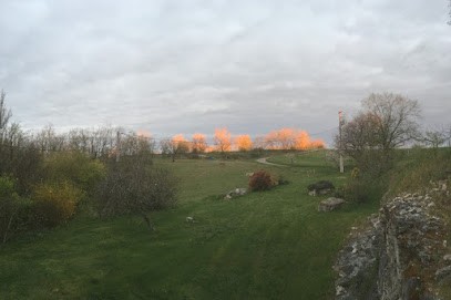 Ecurie du Dragon - Pension chevaux et poneys, Pension pour Chevaux à Cazes-Mondenard