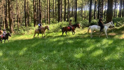Renarderie Equitation, Centre Equestres à Noues de Sienne