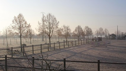 Equestrian Center Du Noyer, Centre Equestres à Saint-Branchs