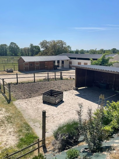 Écurie NG*Zell, Centre Equestres à Ingrandes