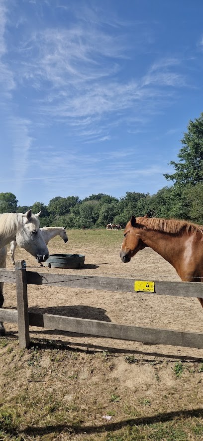 PONEY CLUB SALANTINE HOUSSAY, Centre Equestres à Saint-Herblain