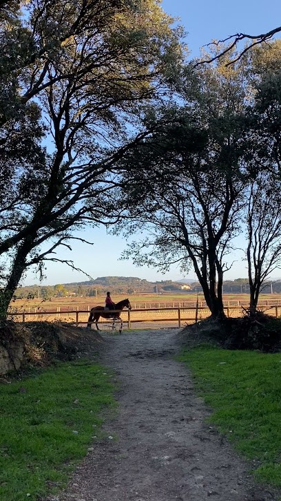 Écurie Dressage Mas Belvega, Pension pour Chevaux à La Baume-de-Transit