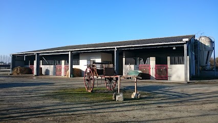 Cavalerie De La Sabliere, Centre Equestres à Sainte-Radégonde-des-Noyers