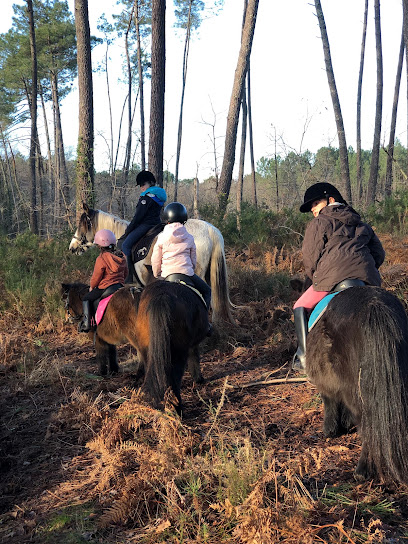 L'enclos De Mios Pension Pour Chevaux à Mios