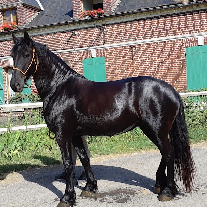 ECURIES DU BOIS MOREL, Centre Equestres à Lachapelle-Saint-Pierre
