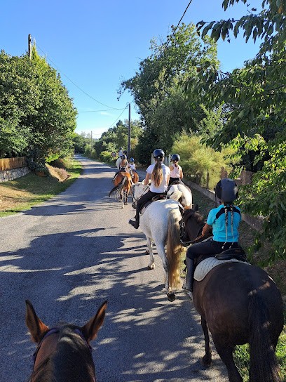 Les Crinieres De Chantot, Centre Equestres à Bessines-sur-Gartempe