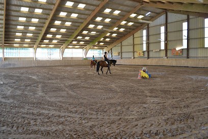 Haras De Siva Laurence Taja, Centre Equestres à Tollevast