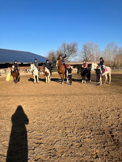 Equestrian Center And Pony Club Du Lys, Centre Equestres à Montaren-et-Saint-Médiers