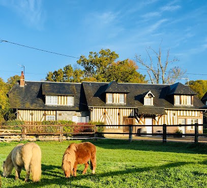 Les Écuries de Douville, Pension pour Chevaux à Douville-en-Auge