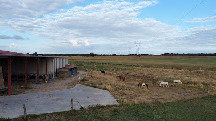 PONEY CLUB DE MARLEA, Centre Equestres à Lommerange